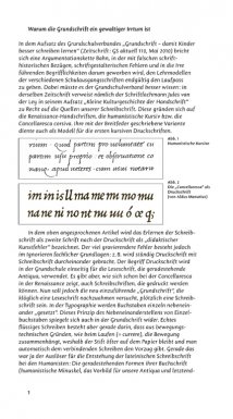 Warum die Grundschrift ein gewaltiger Irrtum ist – Beitrag in Deutsche Sprachwelt, Jürgen Weltin, http://deutschesprachwelt.de/archiv/papier/dsw52.shtml