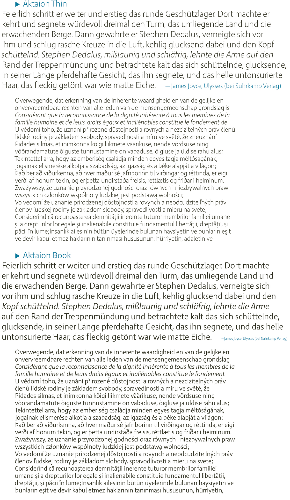 Aktaion fonts by Jürgen Weltin type matters text samples specimen