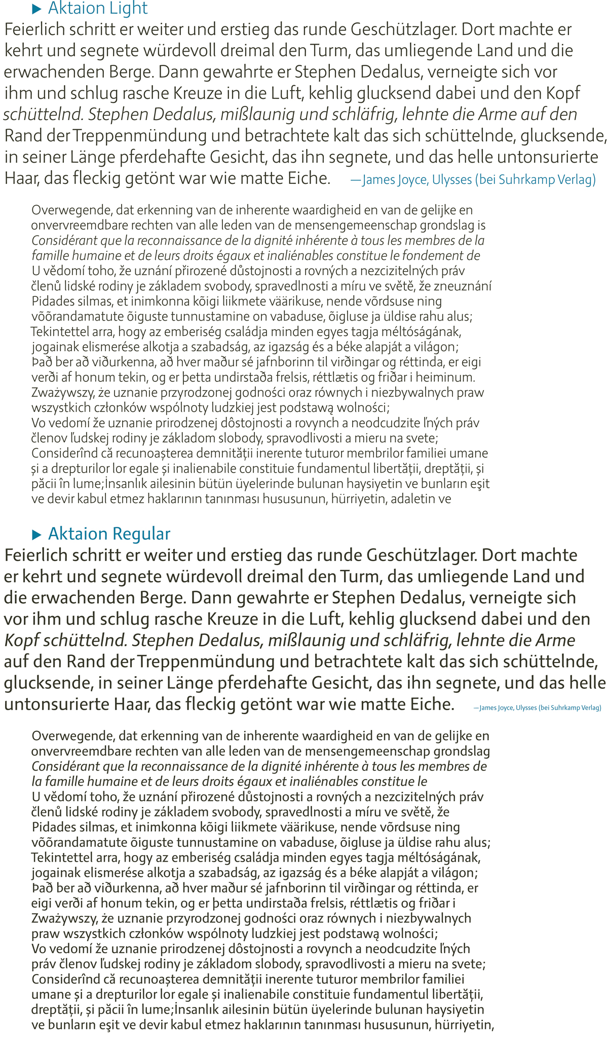 Aktaion fonts by Jürgen Weltin type matters text samples specimen
